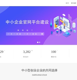 初创企业网站建设做网站丫